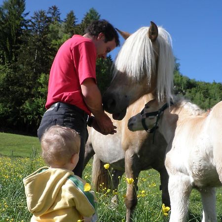 Ferienhaus "Zur Alten Schmiede" Mariahof Zewnętrze zdjęcie
