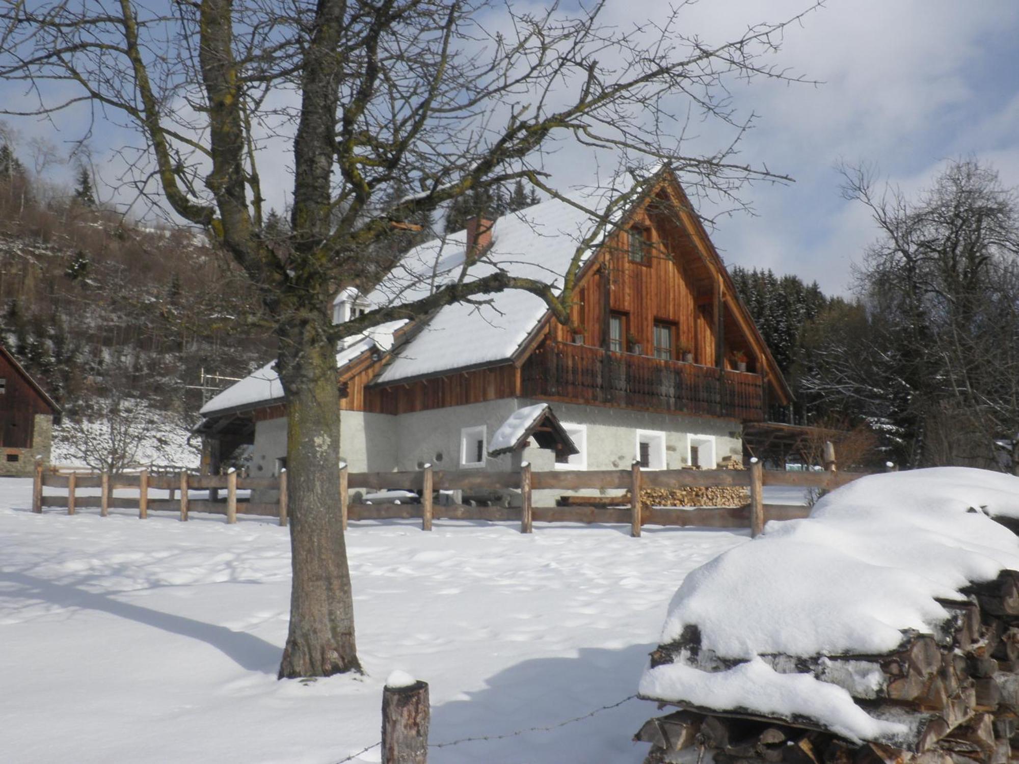 Ferienhaus "Zur Alten Schmiede" Mariahof Zewnętrze zdjęcie