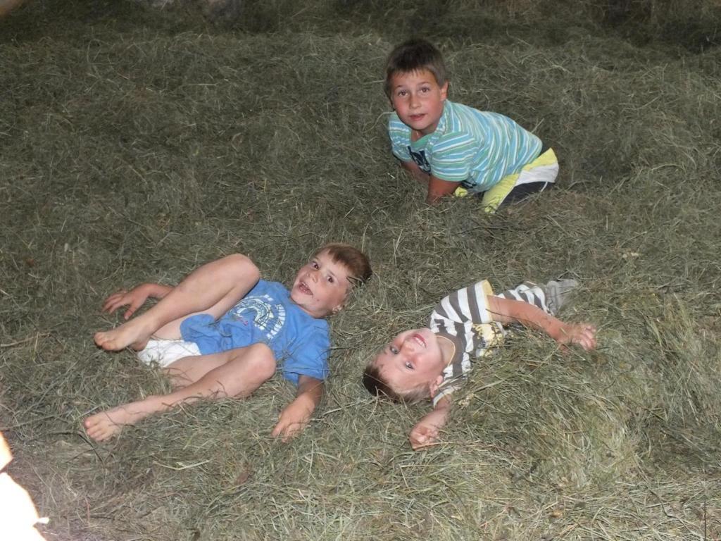 Ferienhaus "Zur Alten Schmiede" Mariahof Zewnętrze zdjęcie